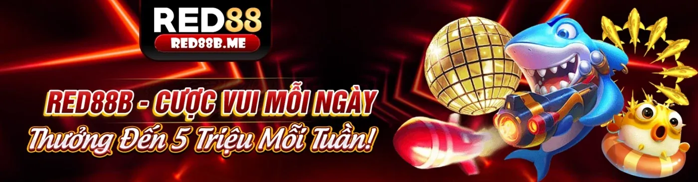 Điều khoản và Điều kiện của 888top nhà cái